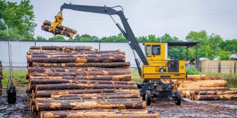 empresarios-de-la-madera-alertan-sobre-la-critica-situacion-y-solicitan-medidas-para-estimular-el-consumo