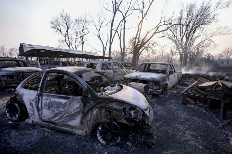 alarma-en-texas-por-el-mayor-incendio-forestal-de-su-historia:-un-muerto-y-un-alcance-desconocido-de-danos