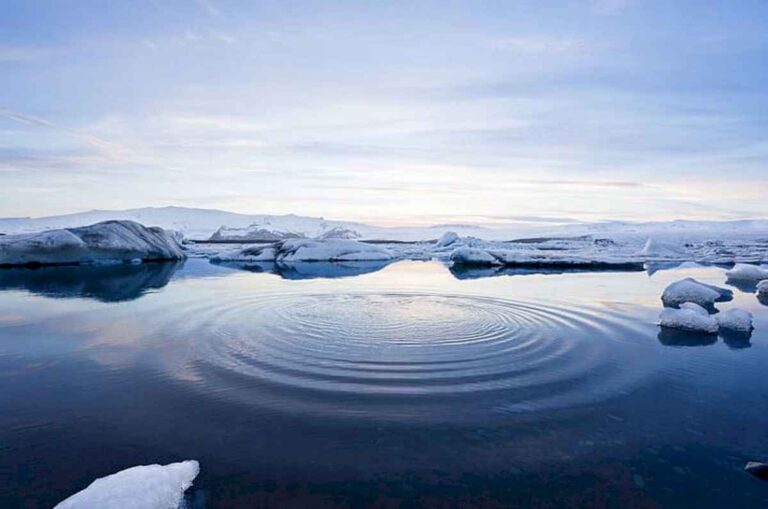 el-oceano-artico-se-quedara-sin-hielo-marino-en-diez-anos:-la-catastrofica-prediccion-de-los-cientificos