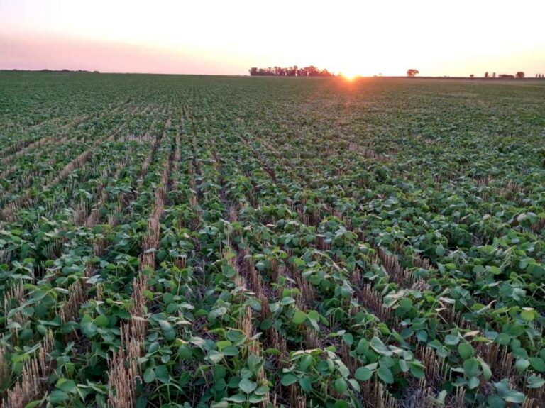 remarcan-que-el-agua-es-esencial-para-la-agricultura-y-determina-hasta-el-80%-de-la-productividad