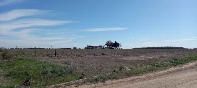 la-justicia-no-esta-a-la-altura,-protesto-federacion-agraria-tras-un-asesinato-rural-en-venado-tuerto