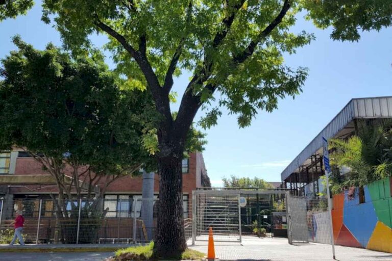 saavedra:-una-escuela-y-un-jardin-sin-luz-desde-las-tormentas-de-marzo