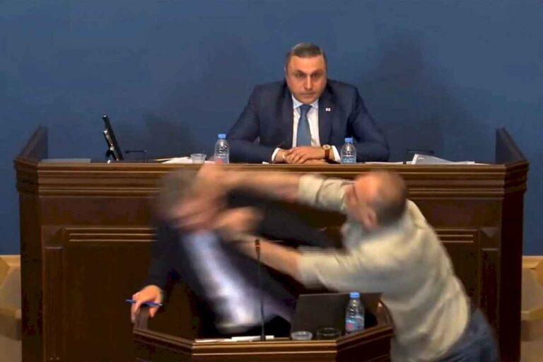 brutal-pelea-en-el-parlamento-de-georgia-por-el-tratamiento-de-un-proyecto-de-ley