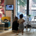 208917-cat-cafe-las-cafeterias-que-son-furor-en-japon-y-llegaron-a-la-argentina