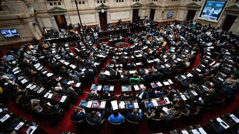 Diputados: el oficialismo citó a un plenario de comisiones para debatir la suspensión de las PASO