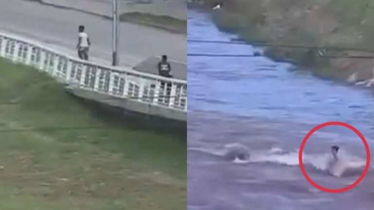 Insólito: un ladrón se tiró a un río en Córdoba para escapar de la policía