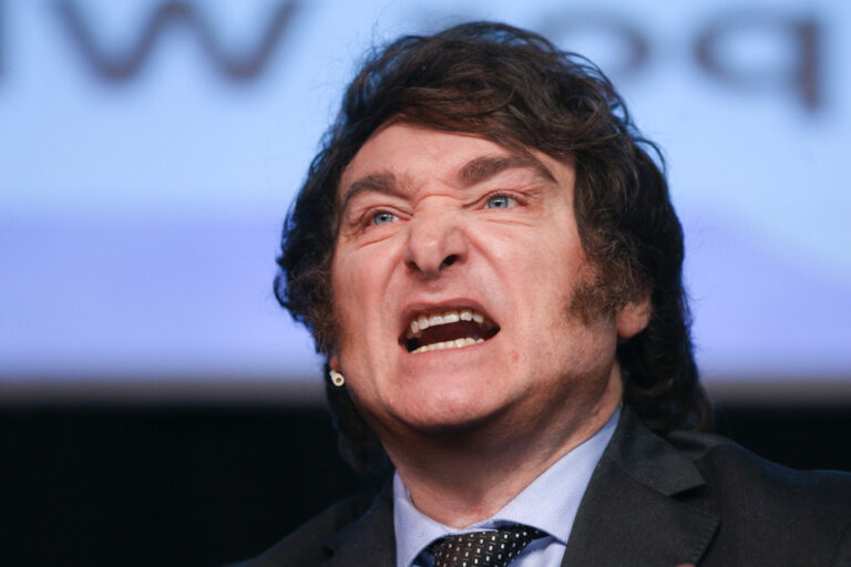Javier Milei no tiene límites para el odio: atacó a un niño autista de 12 años