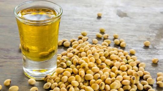 Sube el precio del aceite de soja y mejora la proyección de ingreso de divisas para Argentina
