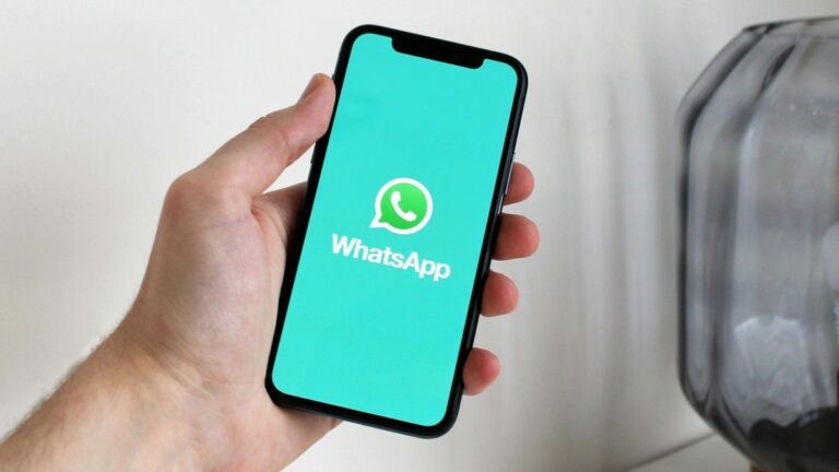 Si tenés iPhone, esta es la forma de liberar espacio desde WhatsApp