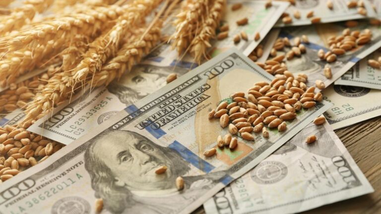 Oportunidad para sumar reservas: en julio proyectan liquidación récord del agro