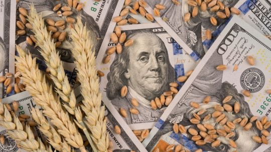 Aseguran que la baja de retenciones es costosa para el fisco, aunque no le representará mucho al campo