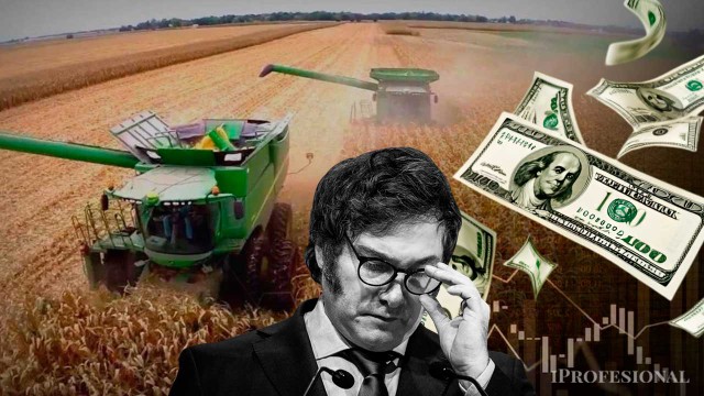 Bajan las retenciones: el Gobierno oficializó nuevas alícuotas para maíz, girasol y carne