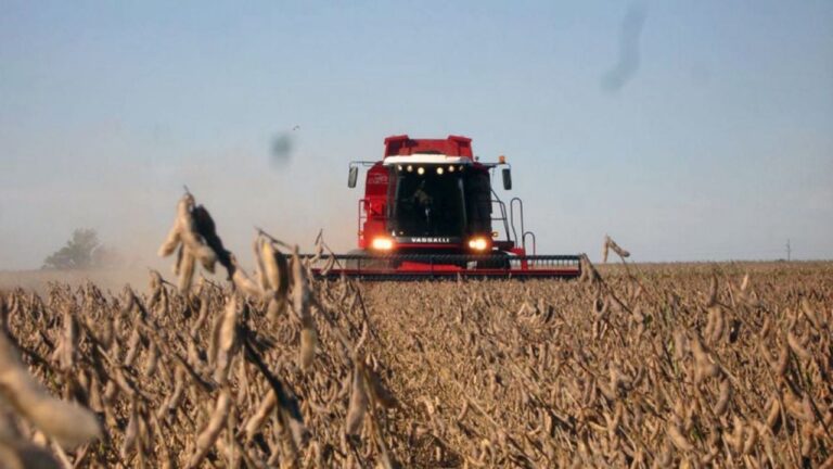 Menos carga, más exportación: el agro respira con el nuevo decreto de Javier Milei