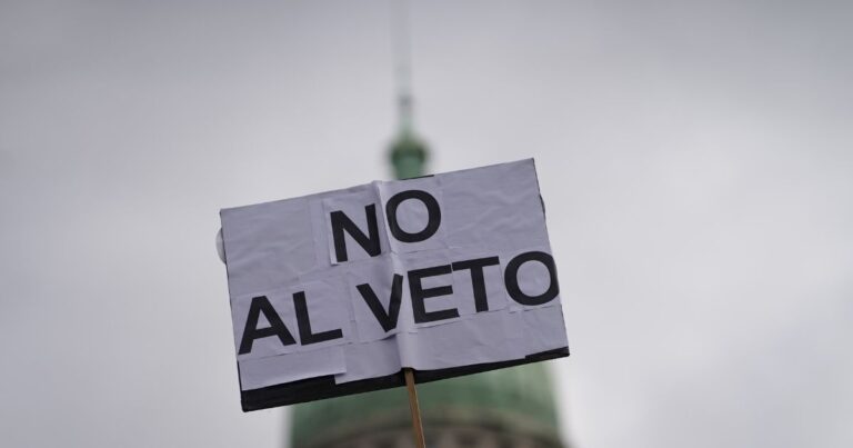 Abajo los vetos. Ley de emergencia en Discapacidad, aumento para jubilados y moratoria, en juego