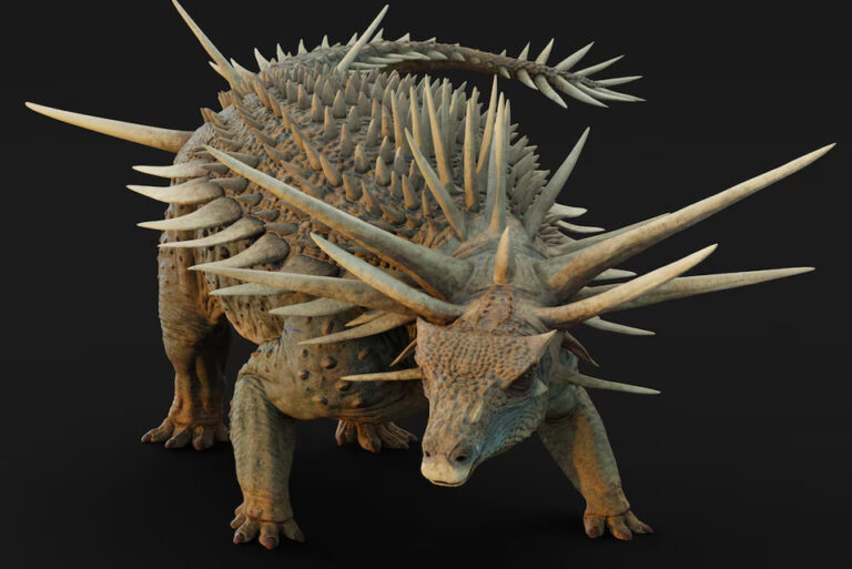 El anquilosaurio más antiguo del mundo fue encontrado en Marruecos