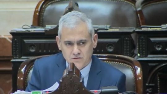 Diputados chaqueños se enfrentaron en el Congreso por la suspensión de pensiones por discapacidad