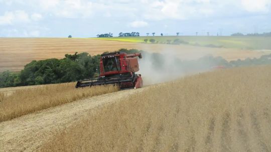 Carlos Etchepare: El campo, entendido como el conjunto de las actividades, no sabe hacer valer sus votos
